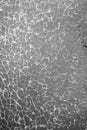 Shattered glass pane in black and white, covered in small cracks. Royalty Free Stock Photo